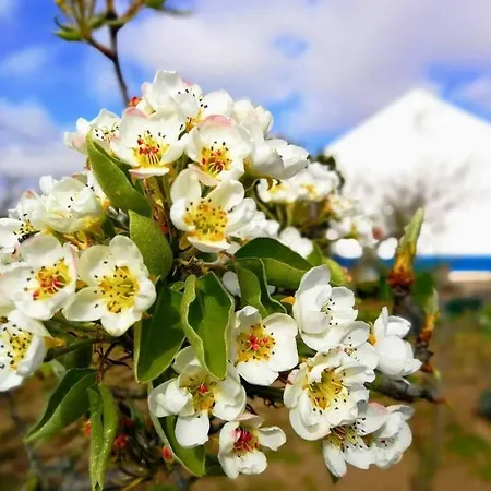 Casa Da Ti' Milia Encarnacao