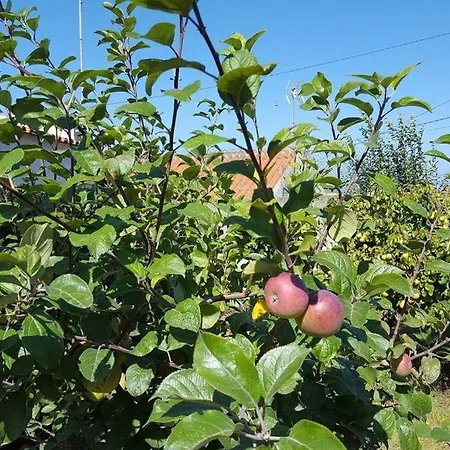 Casa Da Ti' Milia Holiday home